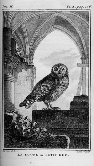 Lot 361, Auction  107, Buffon, Georges Louis Leclerc Comte de, Histoire naturelle des oiseaux. 18 Bände