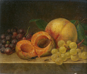 Lot 6097, Auction  111, Printz, Christian August, Stillleben mit Aprikosen, Trauben, Biene und Fliege