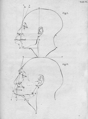 Lot 222, Auction  113, Camper, Peter, Dissertation physique 