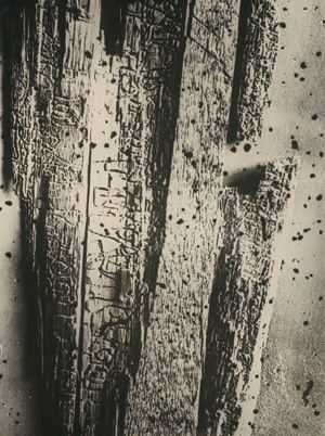 Lot 4278, Auction  122, Thiemann, Elsa, Structural study (dead wood)