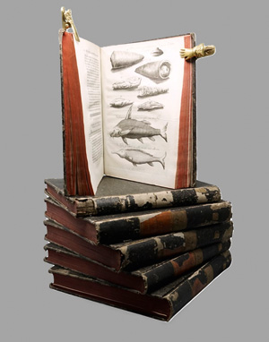 Los 19 - Pococke, Richard - Beschryving van het Oosten. 6 Bände. Utrecht, Paddenburg, 1776-1786. - Erste holländische Ausgabe - 0 - thumb