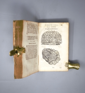 Los 332 - Boodt, Anselmus Boetius de - Gemmarum et Lapidum historia. Leiden, Johannes Maire, 1636. - Frühe Ausgabe des Werkes über Mineralien - 6 - thumb
