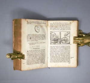 Los 332 - Boodt, Anselmus Boetius de - Gemmarum et Lapidum historia. Leiden, Johannes Maire, 1636. - Frühe Ausgabe des Werkes über Mineralien - 7 - thumb