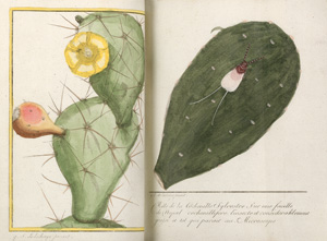 Lot 372, Auction  125, Thiery de Menonville, N. J., Traité de la culture du Nopal. Paris, Delalain und Bordeaux, Bergeret, 1787. - Erste Ausgabe