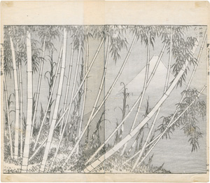 Los 542 - Hokusai, Katsushika - Der Fuji hinterm Bambuswald aus der Serie "100 Ansichten des Fuji" (japonice: Fugaku hyakkei). Edo (Tokio) um 1850 - 0 - thumb