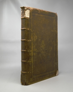 Los 715 - Belon, Pierre - L'histoire de la nature des Oyseaux. Paris, B. Prevost für Guillaume Cavellat, 1555 - 2 - thumb