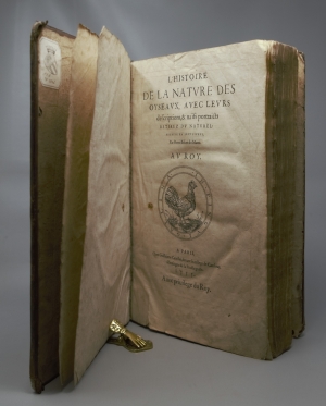 Los 715 - Belon, Pierre - L'histoire de la nature des Oyseaux. Paris, B. Prevost für Guillaume Cavellat, 1555 - 3 - thumb