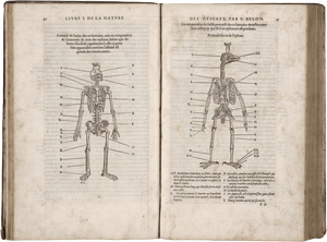 Lot 715, Auction  125, Belon, Pierre, L'histoire de la nature des Oyseaux. Paris, B. Prevost für Guillaume Cavellat, 1555