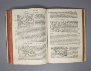 Los 759 - Olaus Magnus - Historia delle genti et della natura. Venedig 1565. - Die erste illustrierte Ausgabe - 7 - thumb