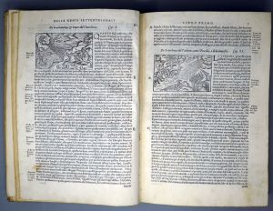 Los 760 - Olaus Magnus - Historia delle genti et della natura. Venedig 1565. - Die erste illustrierte Ausgabe. - 1 - thumb