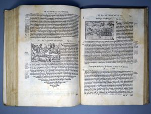 Los 760 - Olaus Magnus - Historia delle genti et della natura. Venedig 1565. - Die erste illustrierte Ausgabe. - 4 - thumb