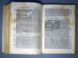 Los 760 - Olaus Magnus - Historia delle genti et della natura. Venedig 1565. - Die erste illustrierte Ausgabe. - 5 - thumb
