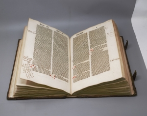Los 788 - Themeswar, Pelbartus de - Stellarium Corone benedicte marie virginis. Augsburg, J. Otmar und J. d.J. Schönsperger, 1502 - Erste Ausgabe aus der Augsburger Offizin von Otmar und Schönsprenger - 4 - thumb