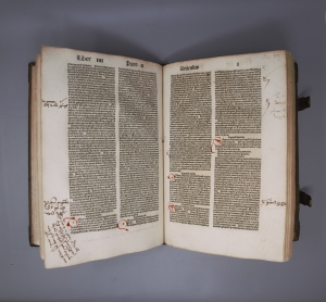 Los 788 - Themeswar, Pelbartus de - Stellarium Corone benedicte marie virginis. Augsburg, J. Otmar und J. d.J. Schönsperger, 1502 - Erste Ausgabe aus der Augsburger Offizin von Otmar und Schönsprenger - 5 - thumb