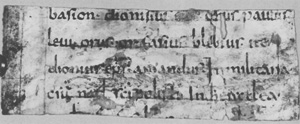 Los 1001 - Martyrologium hieronymianum - Fragment eines Blattes einer lateinischen Handschrift auf Pergament - 1 - thumb