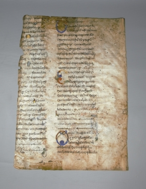 Los 1003 - Beneventana - Fragment eines süditalienischen Chrogebet-Brevier - 2 - thumb