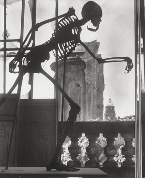 Los 4229 - Peter Sr., Richard - Anatomiesaal in der Akademie, Dresden - 0 - thumb