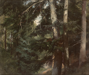 Los 6192 - Preller d. J., Friedrich - "Burgk an der Saalquelle Edelltauern": Waldidyll bei Schloss Burgk - 0 - thumb