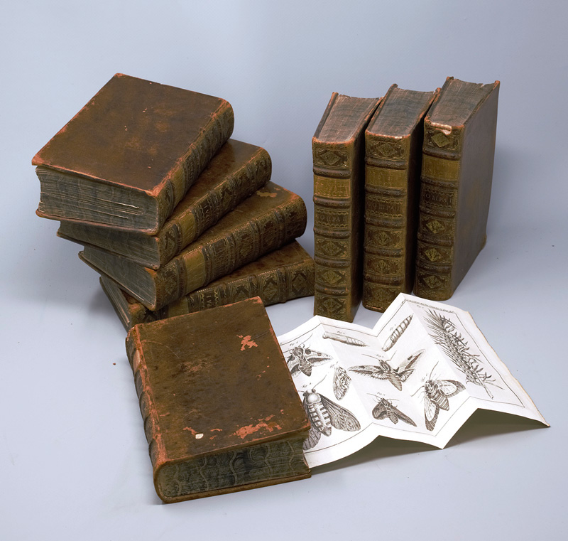 Lot 368, Auction  125, Reaumur, René-Antoine Ferchault de, Memoires pour servir a l'histoire des insectes. Teil I-IV (von VI). Paris, Imprimerie Royale, 1734-1740. - Erste Ausgabe