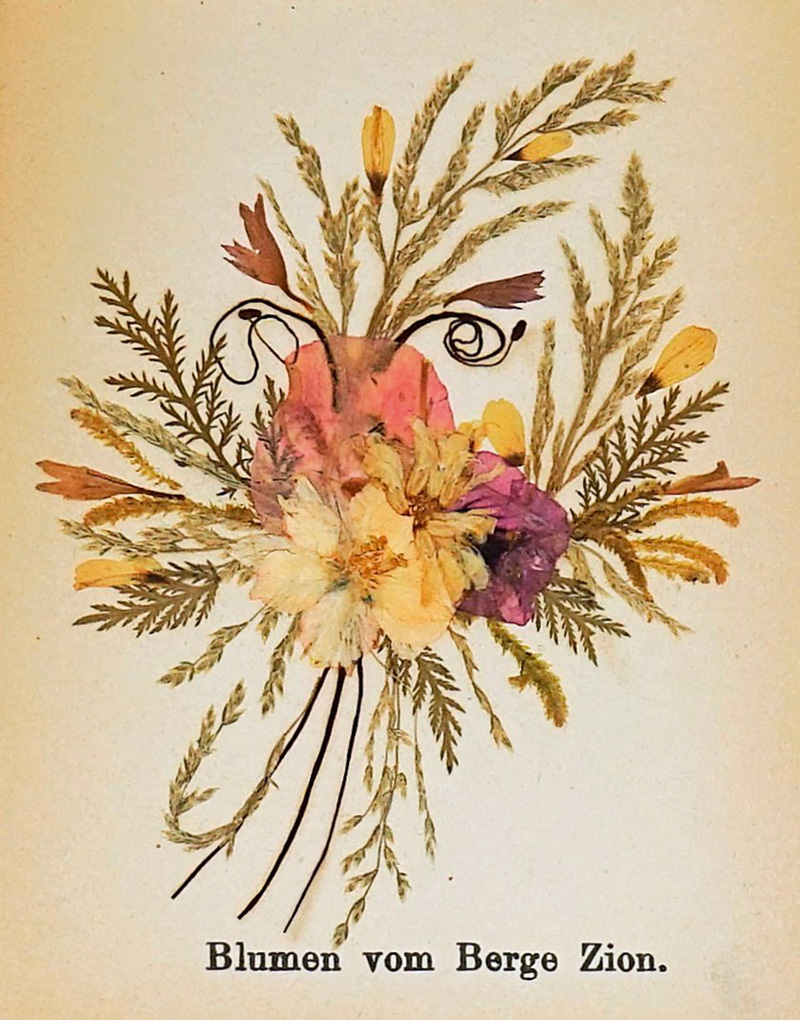 Lot 422, Auction  125, Vester, Ferdinand, Blumen des Heil, Landes. Jerusalem um 1910 