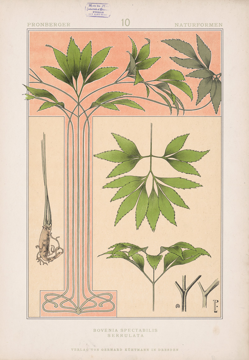 Lot 3442, Auction  125, Pronberger, Ludwig, Seltene Naturformen. Dresden, G. Kühtmann, 1901