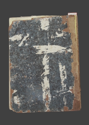 Los 29 - Paz Soldan, Mariano Felipe - Atlas geografico del Perù - 7 - thumb