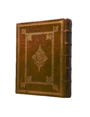 Los 374 - Merian, Maria Sibylla - Erucarum ortus - 7 - thumb