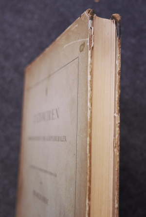 Los 444 - Joest, Wilhelm - Tätowiren, Narbenzeichnen und Körperbemalen - 15 - thumb