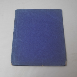 Los 473 - Hildebrand, Wolfgang - Zehen jährig Prognosticon und Astrologische nutzliche Practica. Gebesee, W. Hildebrand, 1628 - 1 - thumb