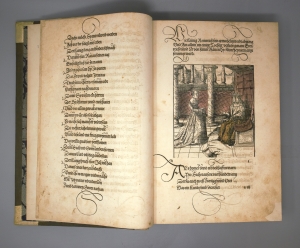 Los 1175 - Pfintzing, Melchior - Die geuerlicheiten und eins teils der geschichten des Ritters Tewrdannkhs - 10 - thumb