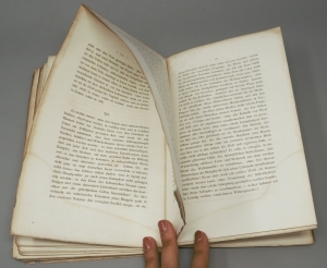 Los 2128 - Nietzsche, Friedrich - Die Geburt der Tragödie - 6 - thumb