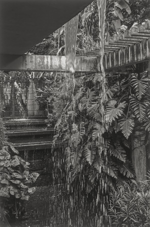 Los 4132 - Florschuetz, Thomas - Untitled (SBM) 11 - 0 - thumb