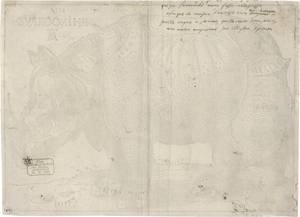 Los 5112 - Dürer, Albrecht - Das Rhinozeros - 1 - thumb