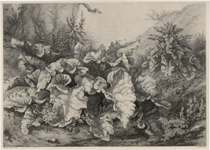 Lot 5352, Auction  126, Blery, Eugène, La Grande Bardane (Große Klette am Wasser)