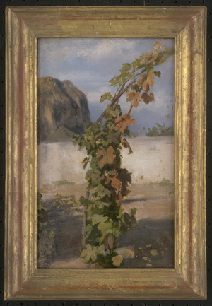 Los 6088 - Schick, Rudolf - Weinstock am Monte Brione am Nordufer des Gardasees - 1 - thumb