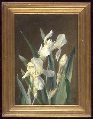 Los 6220 - ‫Dänisch - 1901. Studie mit weißen Iris - 1 - thumb