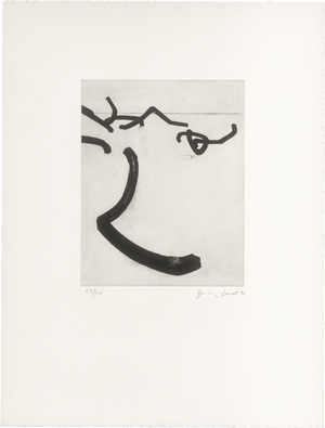 Los 7257 - Venet, Bernar - Random Combination of Indeterminate Lines - 0 - thumb