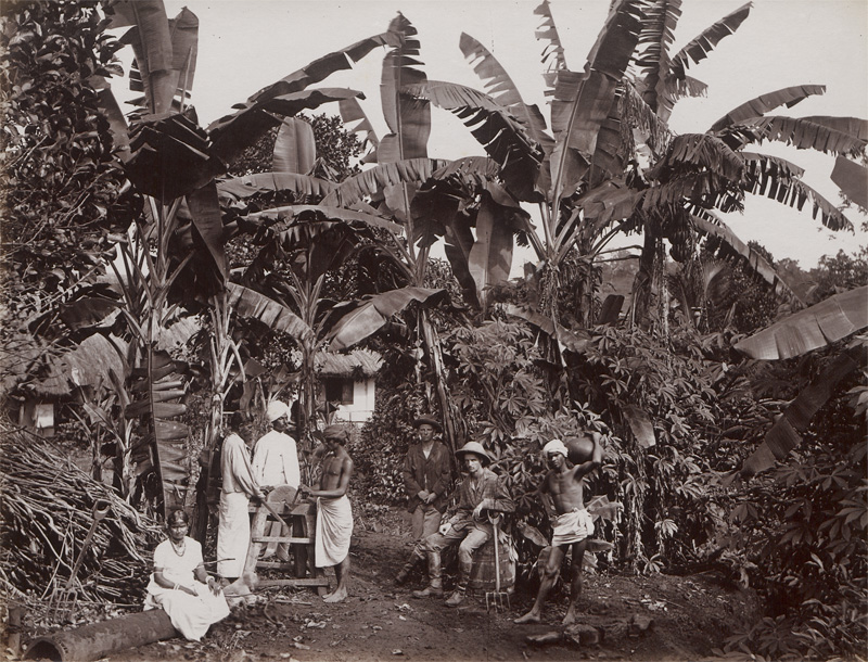 Lot 4023, Auction 126, Ceylon, Scenes and portraits from colonial Ceylon