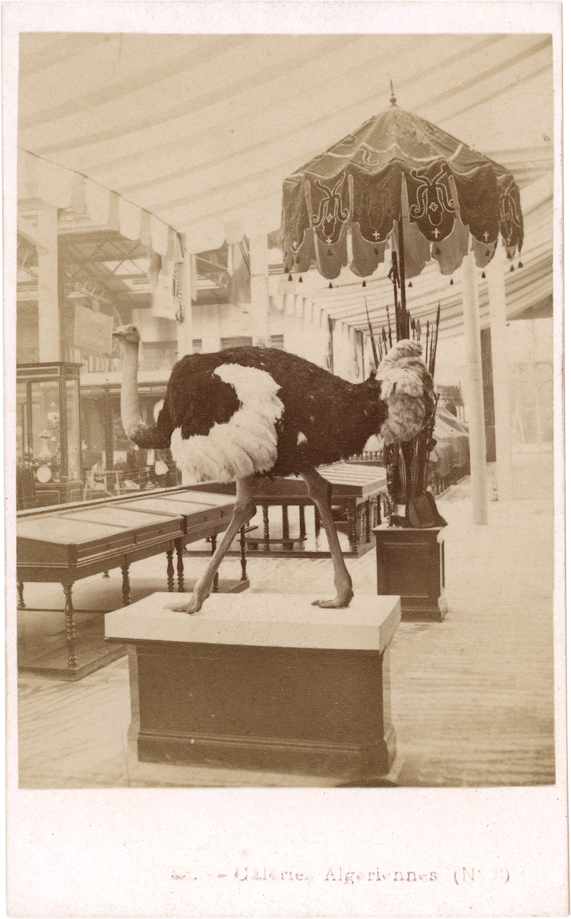 Lot 4036, Auction  126, Exposition Universelle 1867, Views of the Exposition Universelle 1867