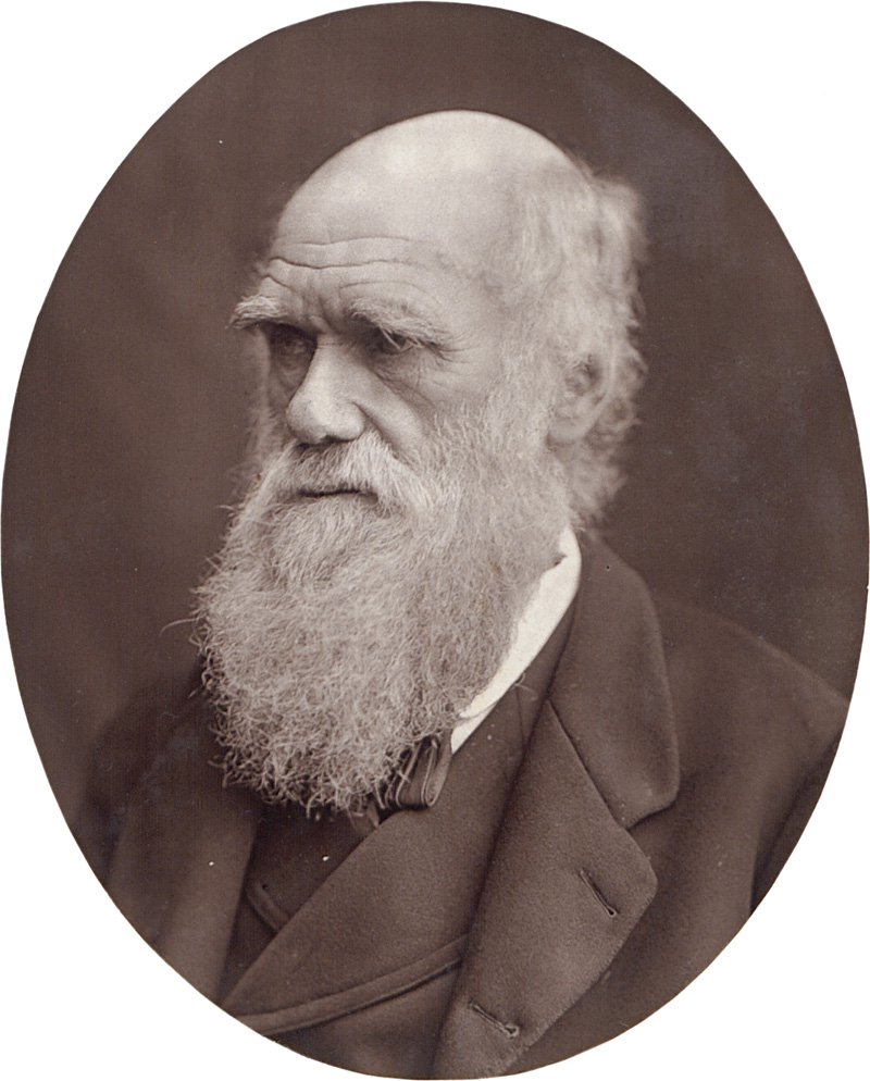 Lot 4069, Auction 126, Men of Mark, Heinrich Schliemann, Charles Darwin and Jules Verne