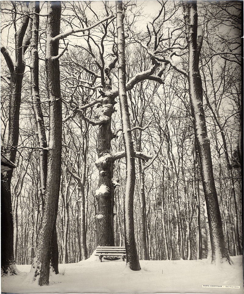 Lot 4157, Auction  126, Hoepffner, Marta, Winter scene