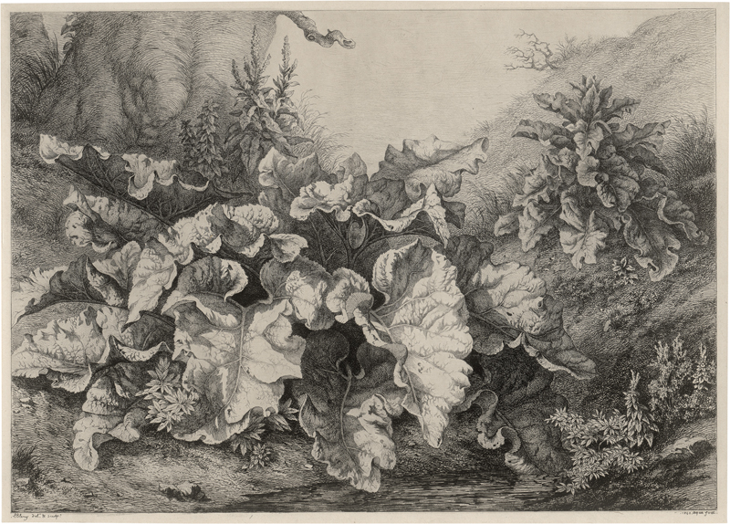 Lot 5352, Auction 126, Blery, Eugène, La Grande Bardane (Große Klette am Wasser)