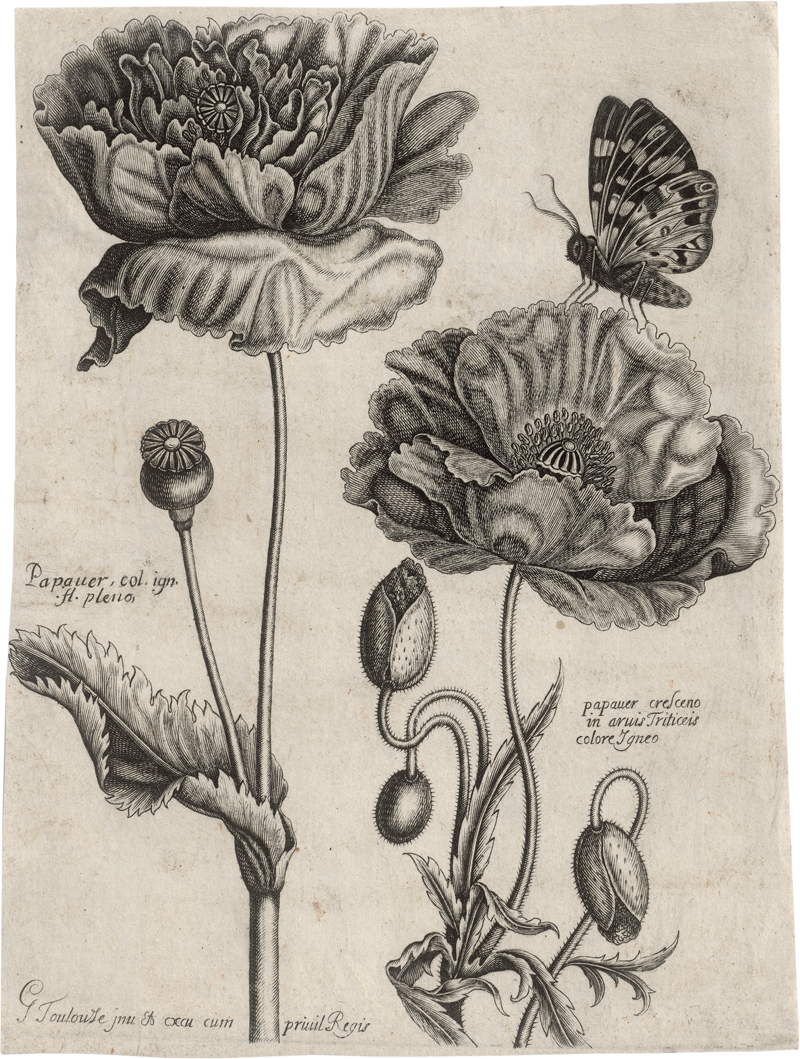 Lot 5702, Auction  126, Toulouze, Guillaume, 7 Blatt aus dem Livre de Fleurs, Feuilles et Oyzeaus