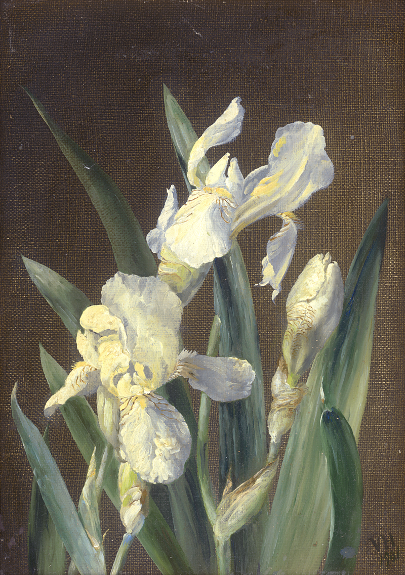 Lot 6220, Auction  126, ‫Dänisch, 1901. Studie mit weißen Iris