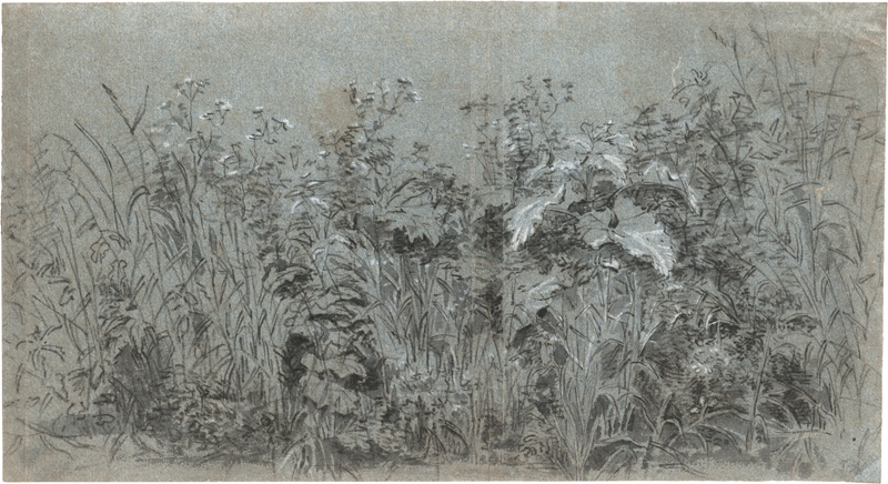 Lot 6533, Auction  126, Niederländisch, 17. Jh. Wiesenstück mit Gräsern und Blattgewächsen