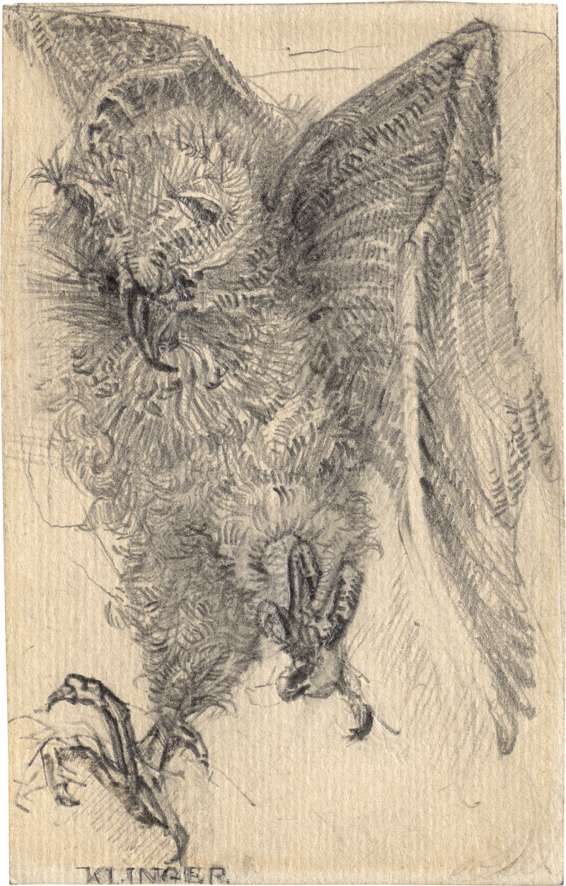 Lot 6728, Auction 126, Klinger, Max - zugeschrieben, Uhu im Sturzflug
