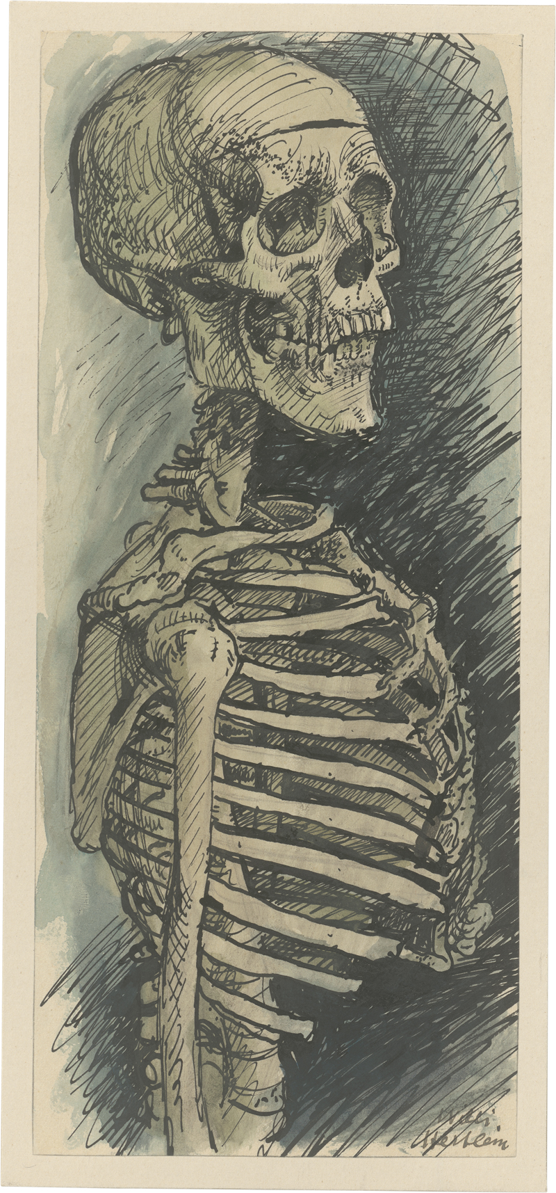 Lot 8126, Auction  126, Hertlein, Willi, Skelett