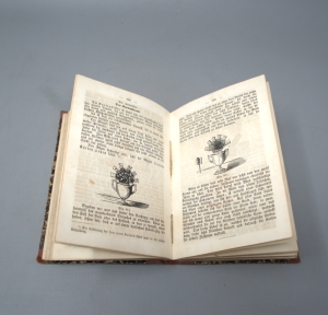 Los 477 - rothe Teufel im Salon, Der - oder Bosco in allen Gesellschaften - 7 - thumb