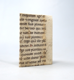 Los 1212 - Vislicza, Michael de - Ephemeridiarium Anni Christi 1536.  - 1 - thumb