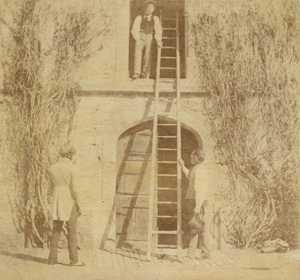 Talbot, William Henry Fox, The Ladder